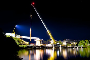 Grove cranes in Tasmania 