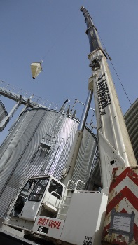 used_cranes_India_lowres